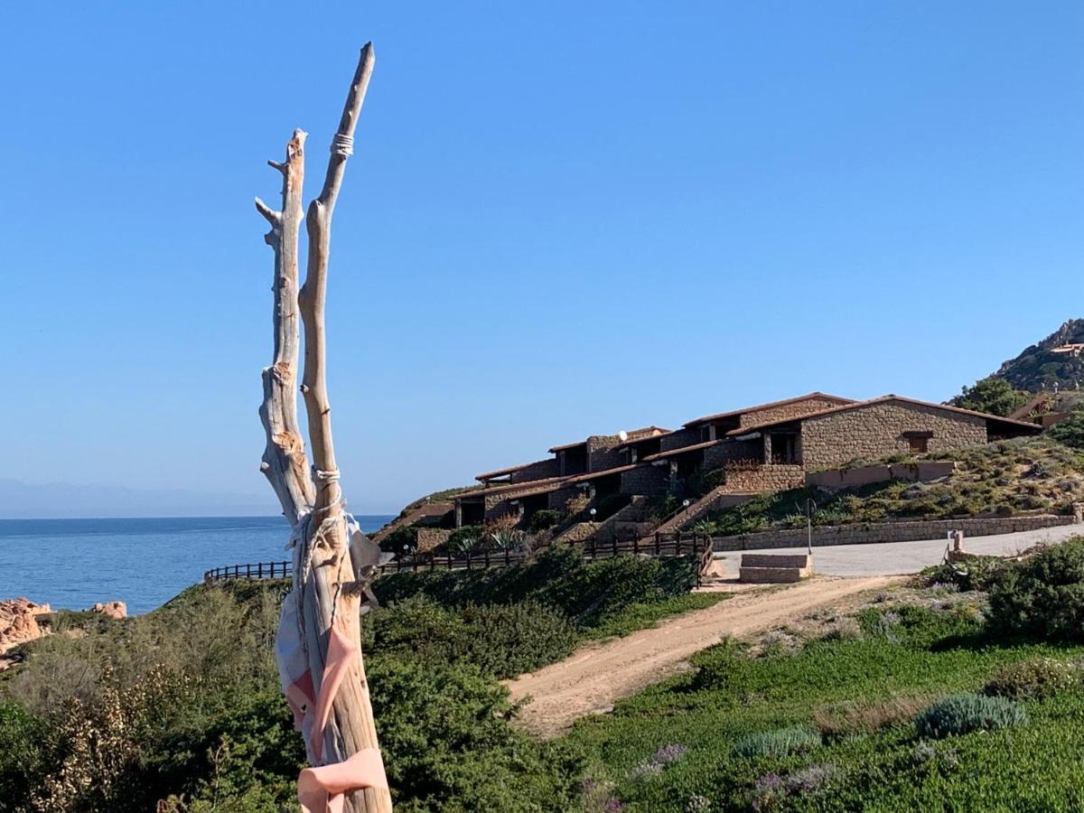 Romantica e Accogliente casa in Costa Paradiso Appartamento Esterno foto