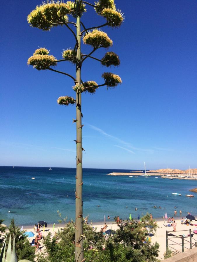 Romantica e Accogliente casa in Costa Paradiso Appartamento Esterno foto