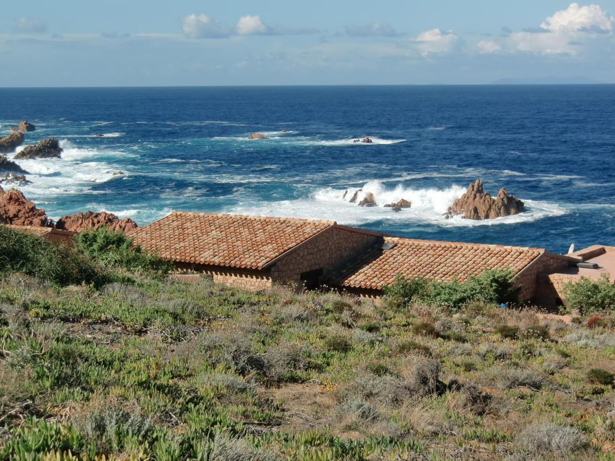 Romantica e Accogliente casa in Costa Paradiso Appartamento Esterno foto